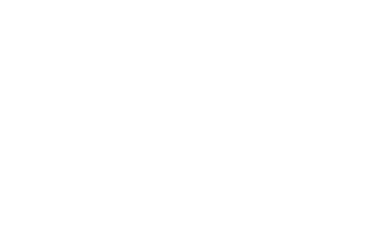 NG Fest